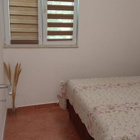 Apartmani Nikola Biograd Na Moru Zewnętrze zdjęcie